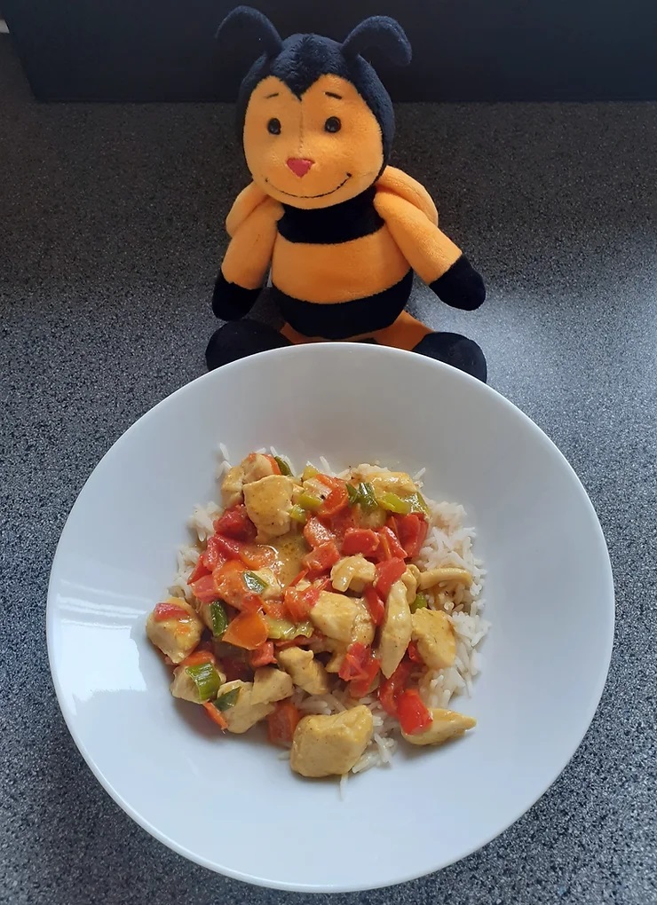 Chicken-Curry mit Reis